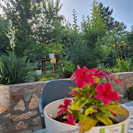 Villa Ella Охрид Экстерьер фото